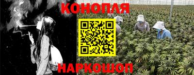 мдпв Обнинск
