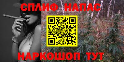 мдпв Обнинск