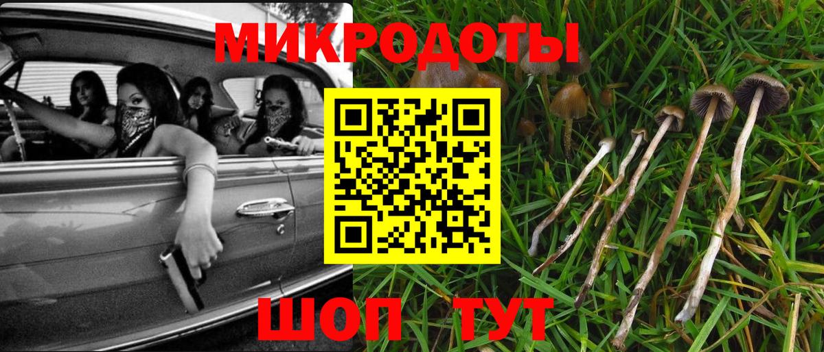 Галлюциногенные грибы мухоморы Ростов-на-Дону