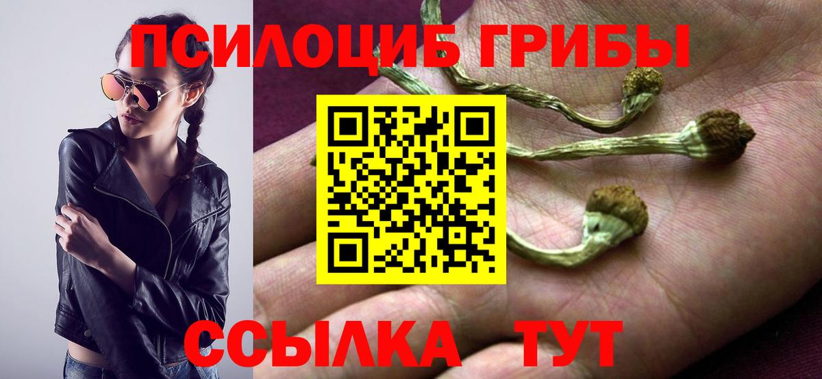 Ростов-на-Дону  Псилоцибиновые грибы GOLDEN TEACHER  Псилоцибиновые грибы мухоморы  Вход с VPN 